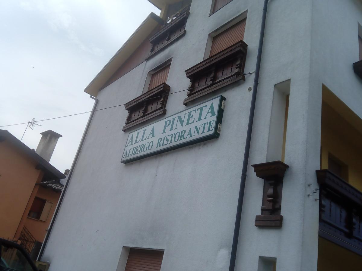 Albergo Alla Pineta 빌라 산티나 외부 사진